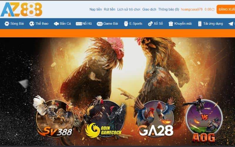 Đá Gà GA28 là một trong những sảnh cược tại AZ888 GA28 là một trong những sảnh cược đá gà tại AZ888a